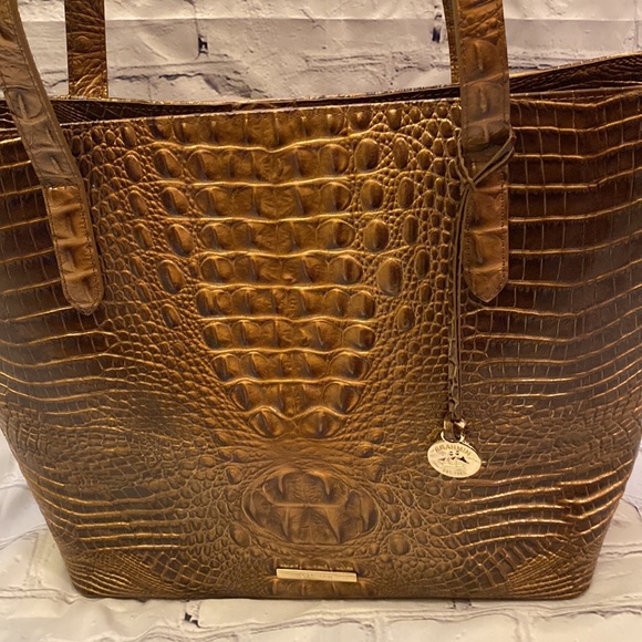 Brahmin - Picture 3 of 9